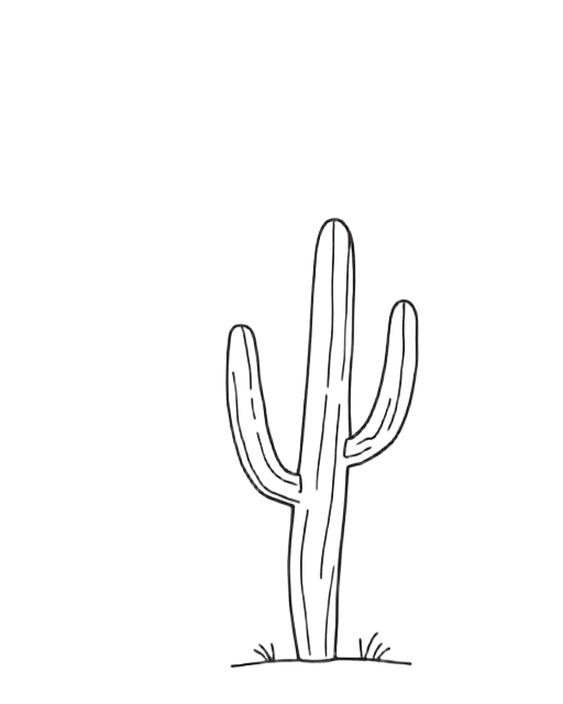 Sketch of a saguaro cactus
